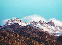 半岛体育官网：点亮你的赛场之旅，成就每一次心跳